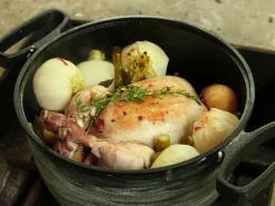 ORYOKI Gusseisentöpfe*Dutch Oven Tenka, OIGEN, Ø 26 cm