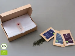 ORYOKI Mizudashi (Tee Kalt Aufgießen)|Kukicha*Grüner Tee Test-Set MIZUDASHI