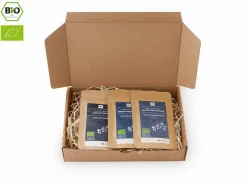 ORYOKI Sencha|Gyokuro*Grüner Tee Test-Set UMAMI
