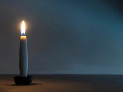 ORYOKI Japanische Kerzen*Japanische Kerze TOHAKU L, 1 Kerze