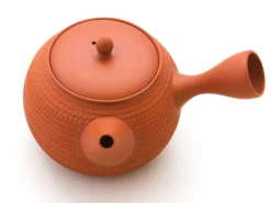 ORYOKI Japanische Teekannen|Teegeschirr*Japanische Teekanne Tokoname Tobikanna Shu mit Geschenkbox