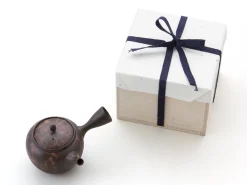 ORYOKI Japanische Teekannen|Teegeschirr*Japanische Teekanne Tokoname Mokakemit Geschenkbox