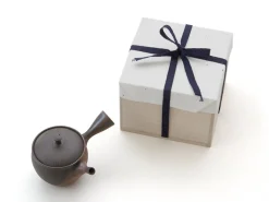 ORYOKI Japanische Teekannen|Teegeschirr*Japanische Teekanne Tokoname Sendan Kaku mit Geschenkbox