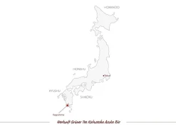ORYOKI Kabusecha|Grüner Tee Oryoki*Kabusecha Asuka Bio, Japan