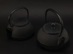 ORYOKI Tetsubin Gusseisen Wasserkessel|Japanische Teekannen*Kombi-Modell Wasserkessel und Teekanne ARARE 0,6 Liter (IH)