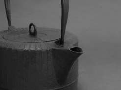 ORYOKI Tetsubin Gusseisen Wasserkessel*Nanbu Tetsubin Ray 1,6 L (IH), Saku Kiyoshige