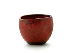 ORYOKI Sake*Sake Set Shuin, 1 Karaffe, 2 Becher