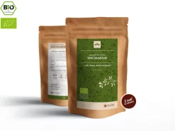 ORYOKI Sencha|Grüner Tee Oryoki*Sencha Mizuki Bio, Japan