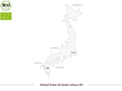 ORYOKI Sencha|Grüner Tee Oryoki*Sencha Satsuma Bio, Japan, 100 g