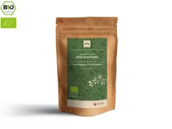 ORYOKI Sencha|Grüner Tee Oryoki*Sencha Satsuma Bio, Japan, 50 g