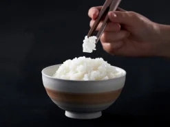 ORYOKI Essstäbchen*Servierzange YORI-SO Walnuss, 2 Längen