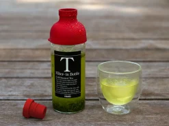 ORYOKI Mizudashi (Tee Kalt Aufgießen)*Teeflasche mit Sieb, HARIO Filter in Bottle, 300 ml, rot