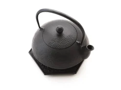 ORYOKI Tetsubin Gusseisen Wasserkessel|Japanische Teekannen*Teekanne, Wasserkessel Kombi-Modell NAMI AOMI, Iwachu, 0,65 l mit Untersetzer