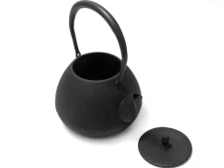 ORYOKI Tetsubin Gusseisen Wasserkessel*Tetsubin Aki no jitsu arare, 1,4 L