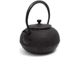 ORYOKI Tetsubin Gusseisen Wasserkessel|Teegeschirr*Tetsubin Torayama Nanbu Hiramaru Arare 2,0 Liter